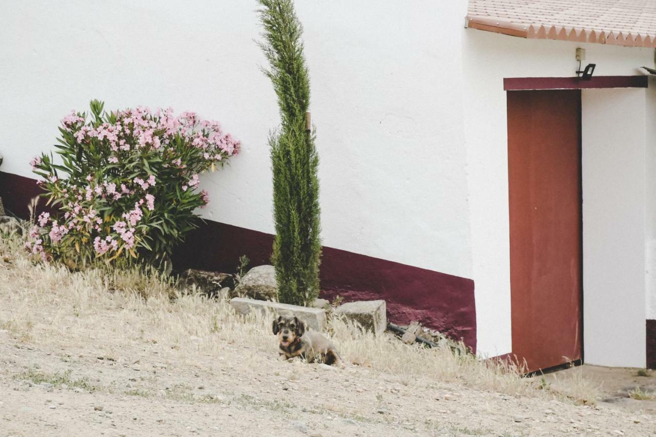 Casas Da Faia - Nature Guest House Арроншеш Екстер'єр фото
