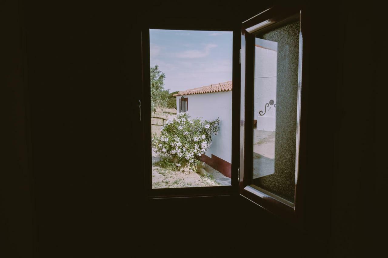 Casas Da Faia - Nature Guest House Арроншеш Екстер'єр фото